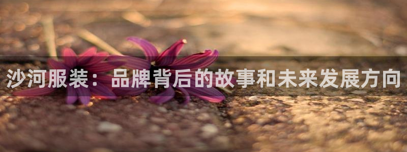 华润红家庭娱乐