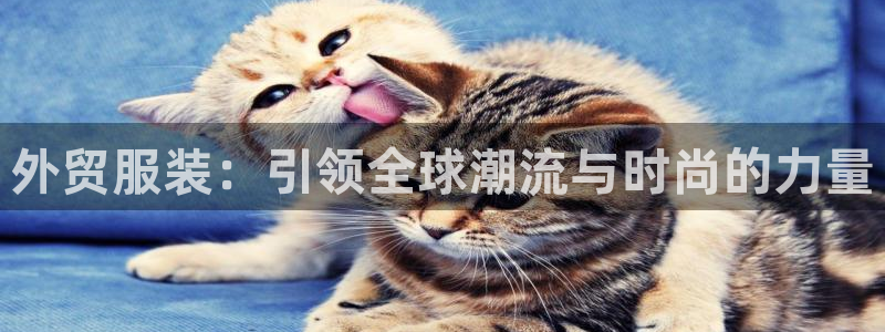 华润娱乐贡92222
