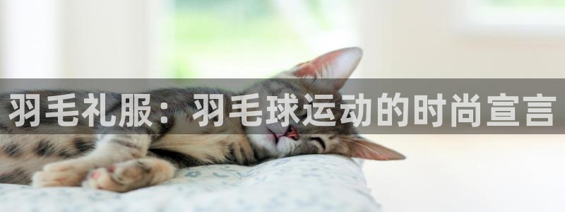 华润娱乐颗122222