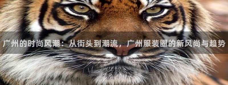 华润娱乐地