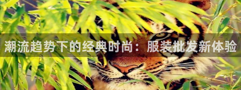 华润时代娱乐项目介绍