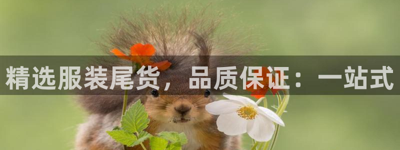 华润娱乐闪122222