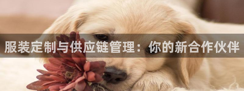 中国华润娱乐