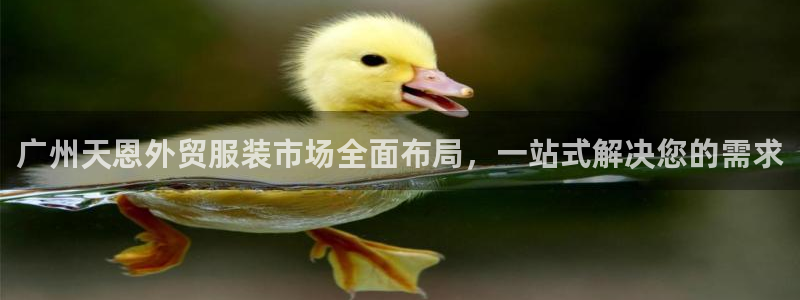 华润娱乐技术q