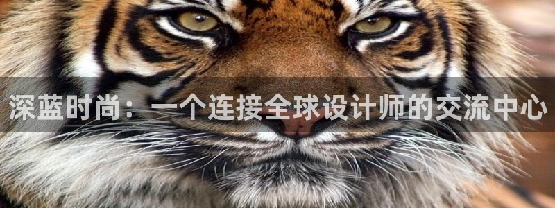 华润娱乐找382223