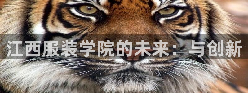华润娱乐平台