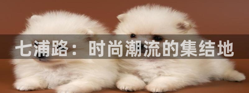 华润娱乐宋判官21