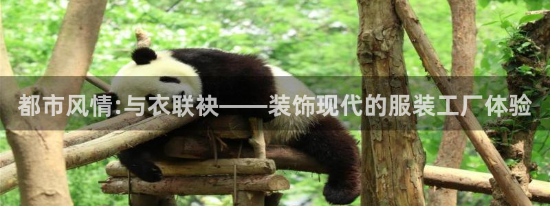华润娱乐行政招聘官网