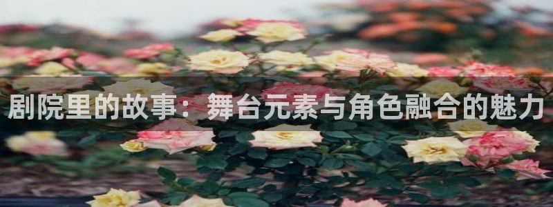 华润国际附近娱乐
