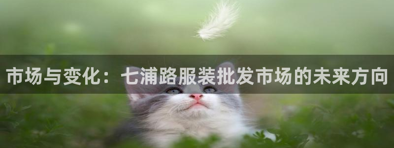 华润娱乐梅122222