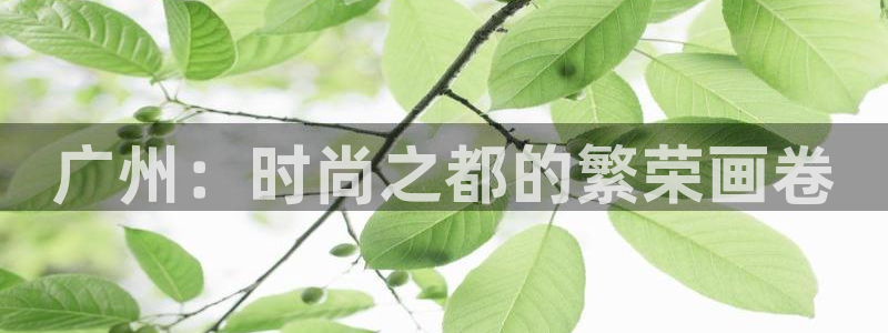 华润娱乐亿122222