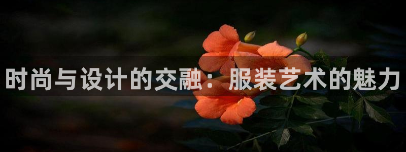 华润娱乐去深圳工作