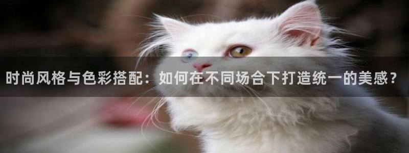 华润2娱乐招商主管