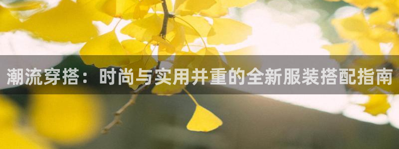 华润2娱乐招商主管