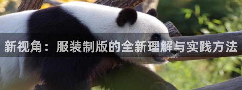 华润娱乐网址：新视角：服装制版的全新理解